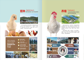 乐鱼直播平台官网实力