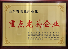 乐鱼直播平台官网实力